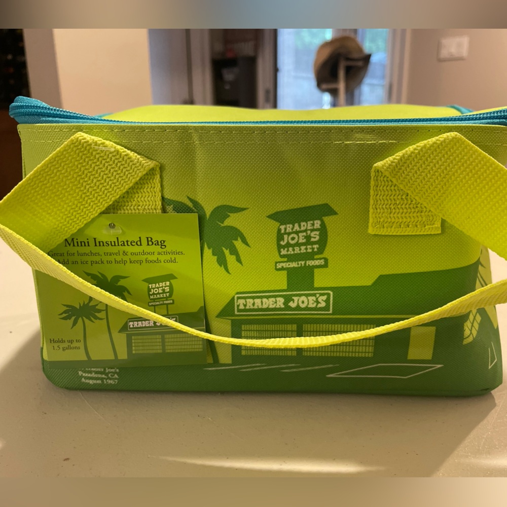 Trader Joe's Mini Insulated Lunch Tote Bag - Green and Blue